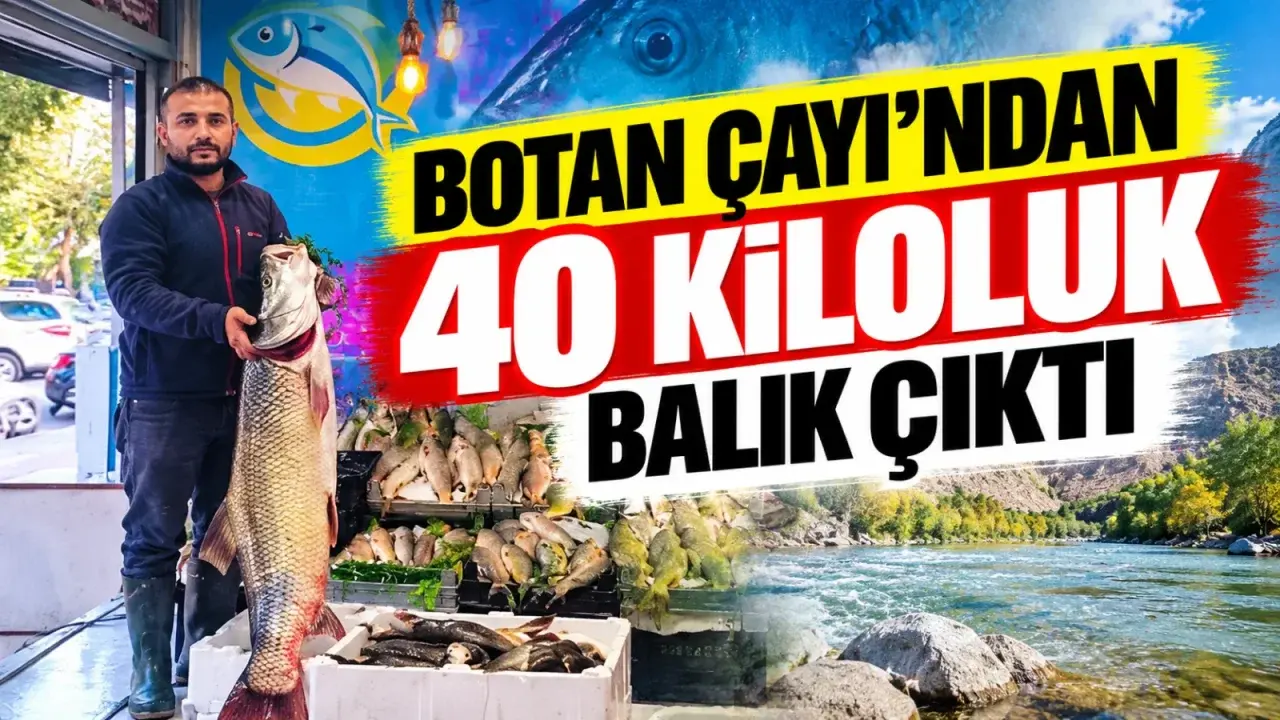 Botan Çayı’ndan 40 kiloluk balık çıktı