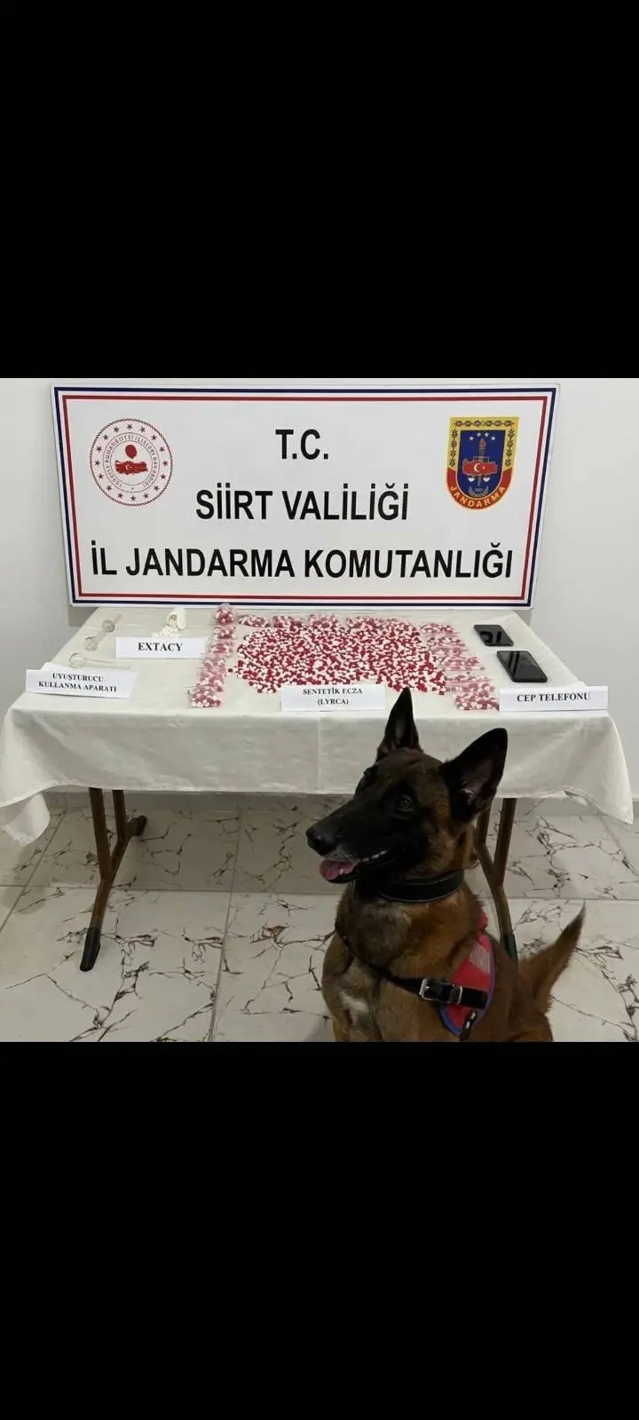SİİRT’TE UYUŞTURUCU OPERASYONUNDA; 2 BİN 650 UYUŞTURUCU HAP ELE GEÇİRİLDİ