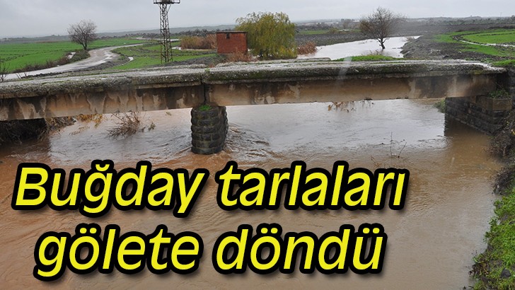 Buğday tarlaları gölete döndü