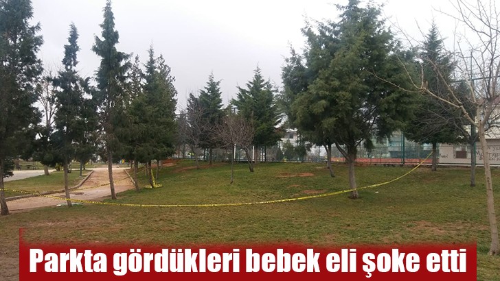 Parkta gördükleri bebek eli şoke etti