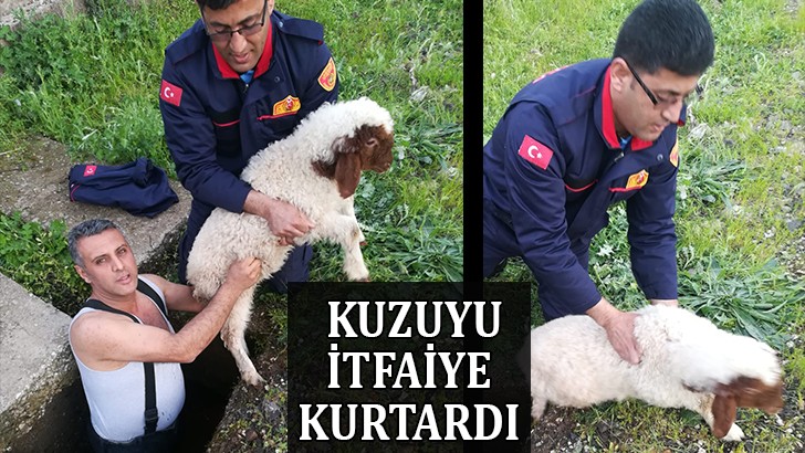 Kuyuya düşen kuzuyu itfaiye kurtardı