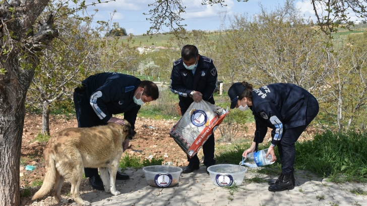 ŞAHİNBEY BELEDİYESİ SOKAĞA ÇIKMA YASAĞINDA SOKAK HAYVANLARINI UNUTMADI