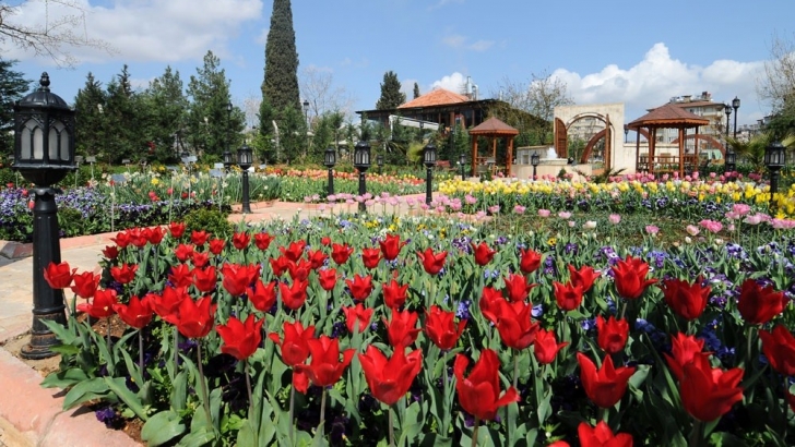 BOTANİK ÇALIŞTAYI İÇİN BAŞVURULAR 5 MART’A KADAR DEVAM EDECEK