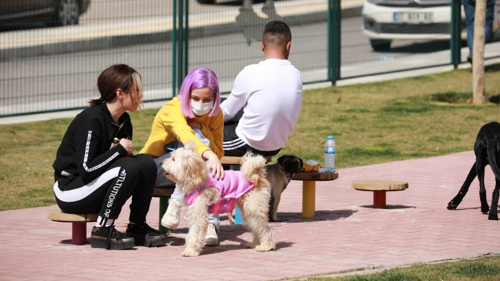 HAYVANSEVERLERİN MERAKLA BEKLEDİĞİ ‘PET PARK’ HİZMETE AÇILDI